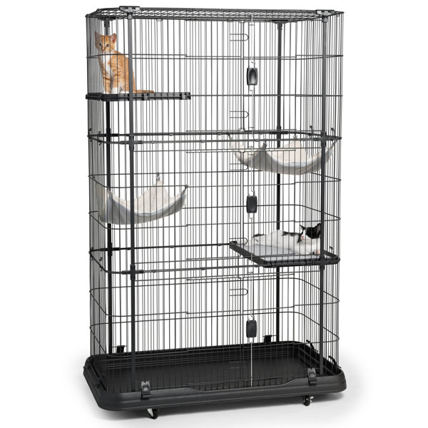 Archie & Oscar™ Elmo Cat Cage with Hammocks & Reviews Wayfair